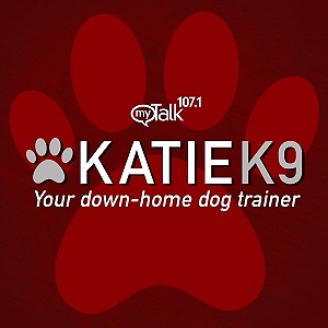 Katie K9 on MyTalk